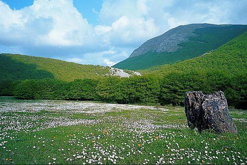 Het Parco Regionale del Monte Cucco