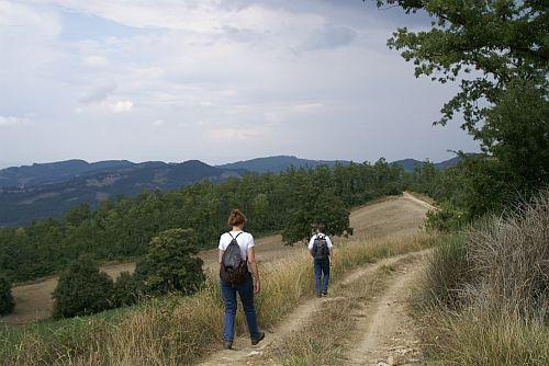 Wandelen