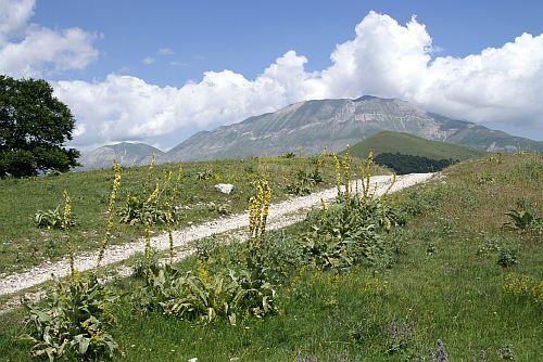 Parco Nazionale del Monte Sibillini
