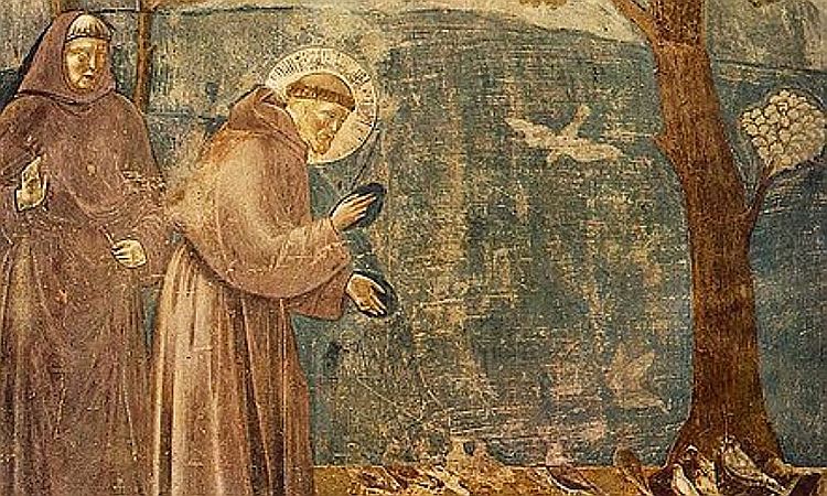 Franciscus van Assisi en de preek met de vogels